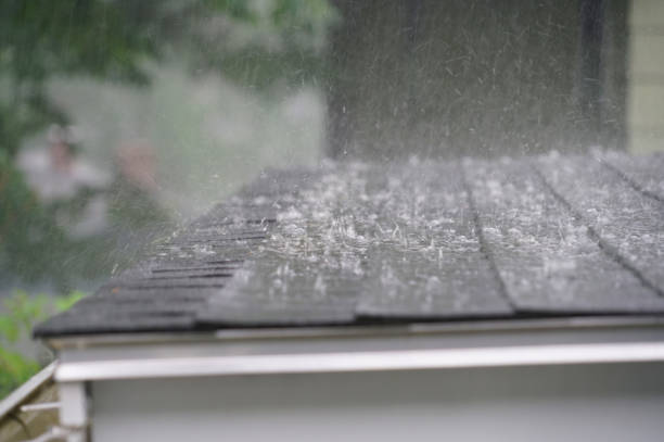 Best Rubber Roofing (EPDM, TPO)  in Troy, NY